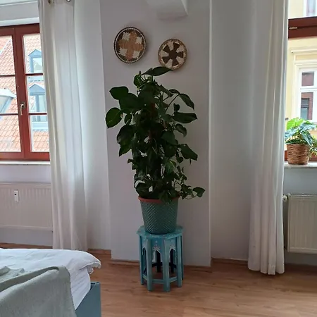 Daire - Mein Ankerplatz Stralsund